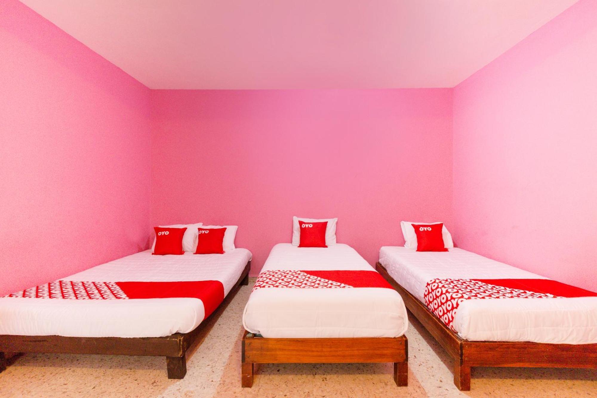 Oyo Hotel Emperador, Oaxaca Dış mekan fotoğraf