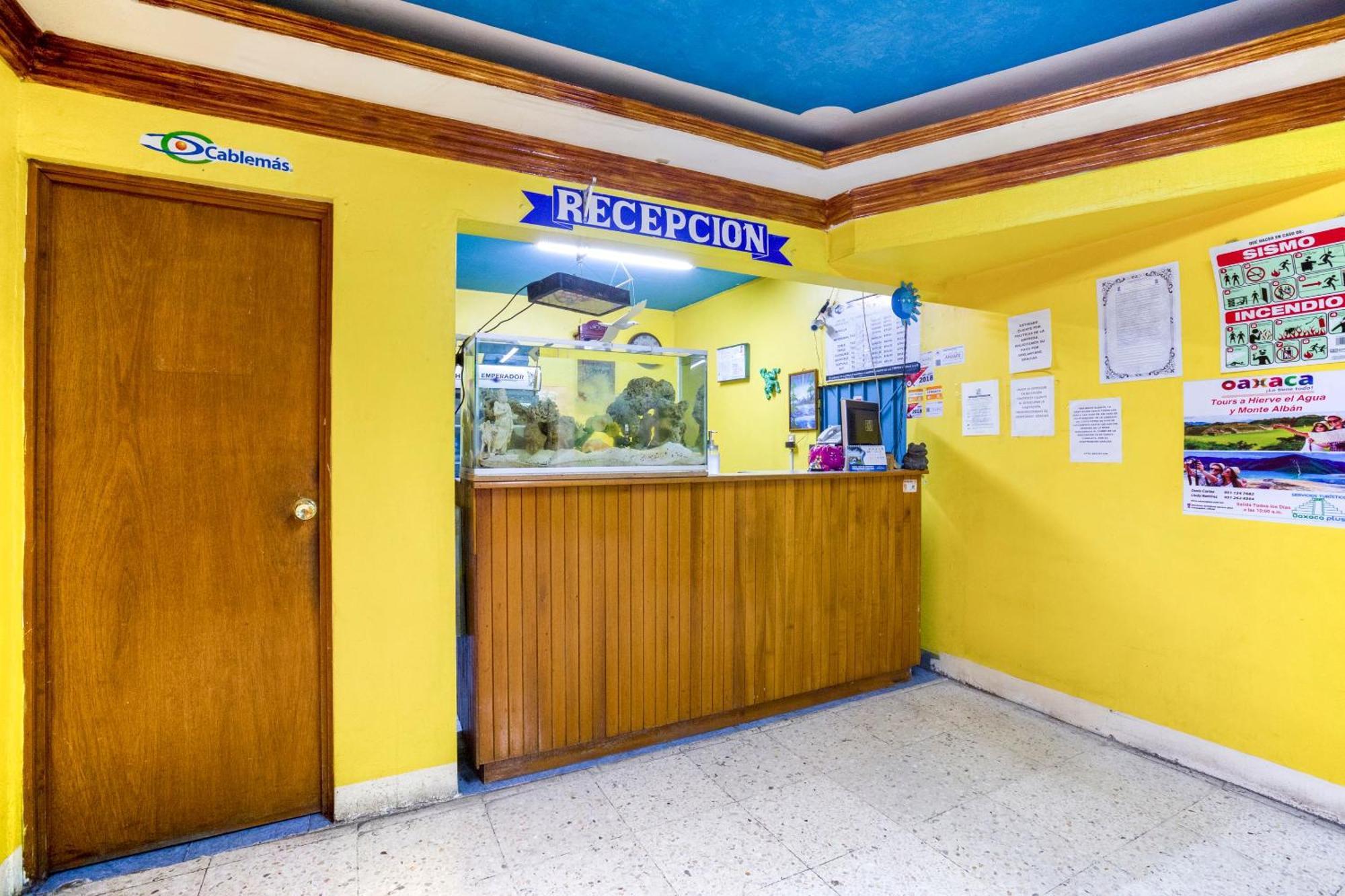 Oyo Hotel Emperador, Oaxaca Dış mekan fotoğraf