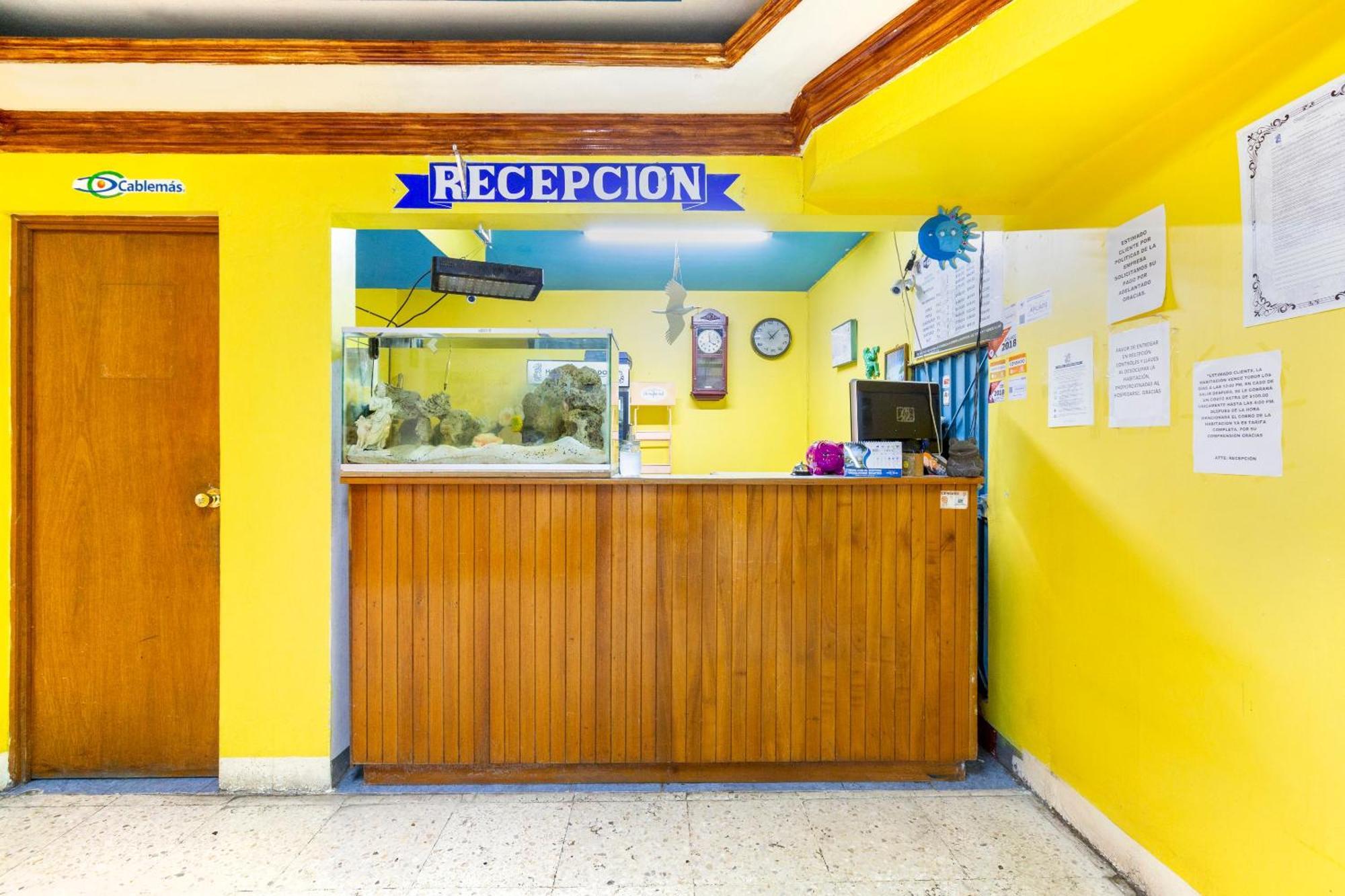 Oyo Hotel Emperador, Oaxaca Dış mekan fotoğraf